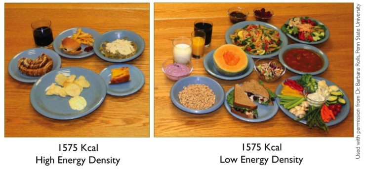 high-low-density-meals