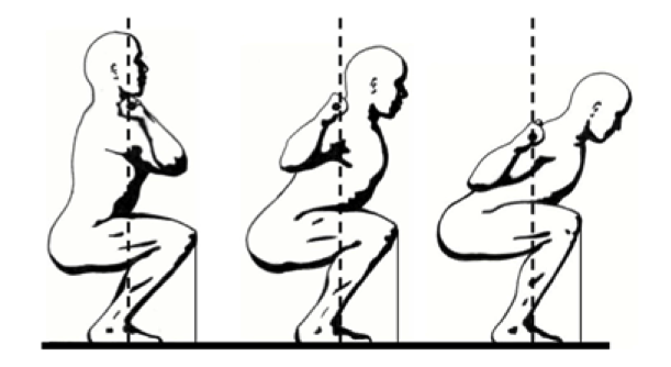 biomechanics of the squat
