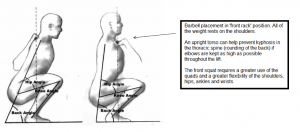 front squat biomechanics